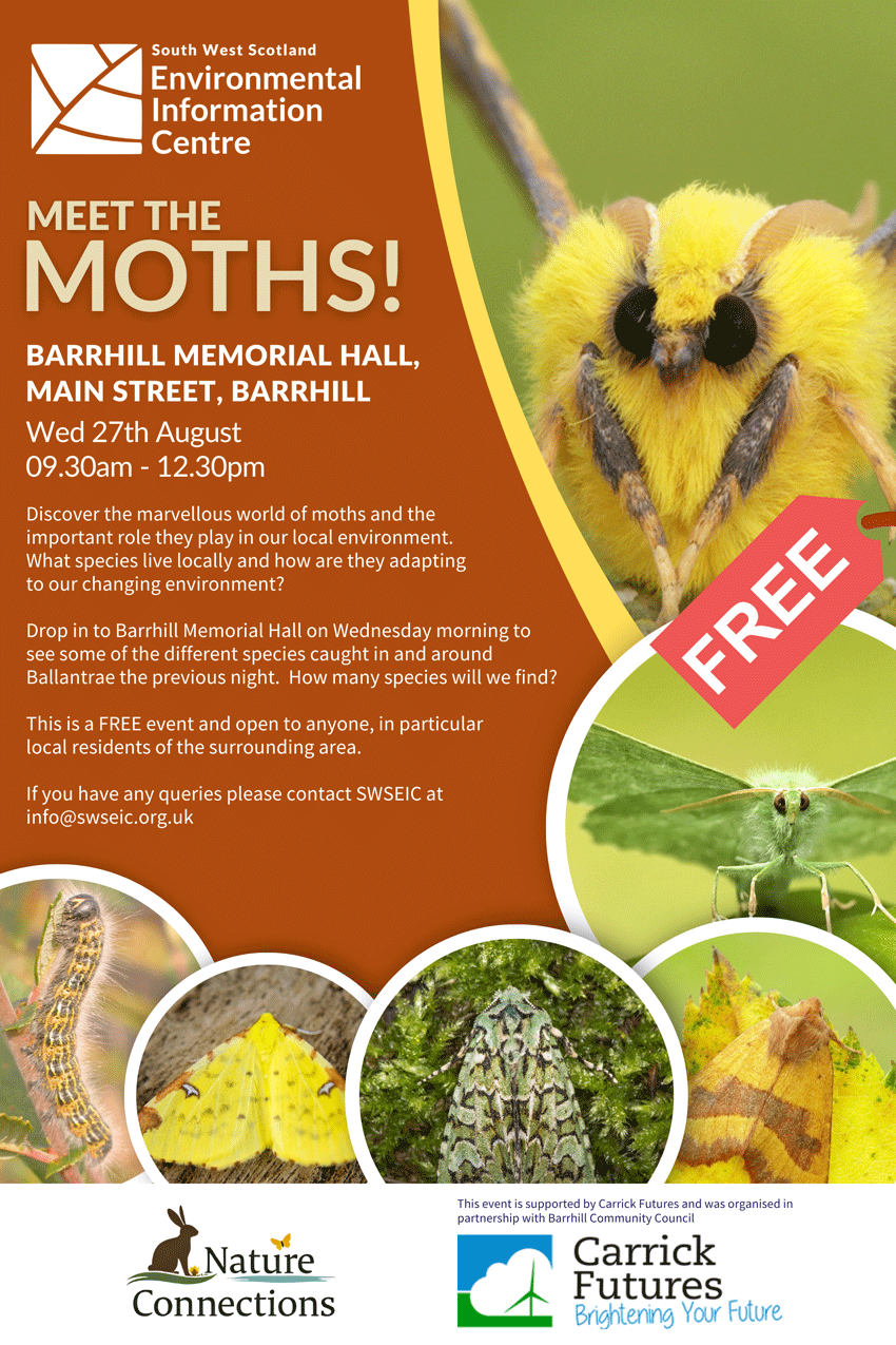 moths
